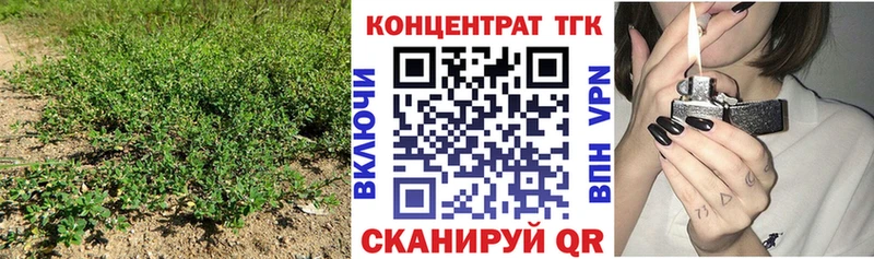 Дистиллят ТГК гашишное масло  kraken вход  Кировск 