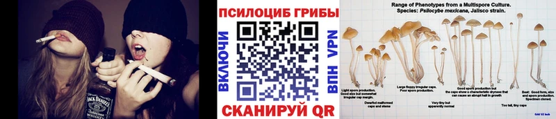 Псилоцибиновые грибы мицелий  Кировск 