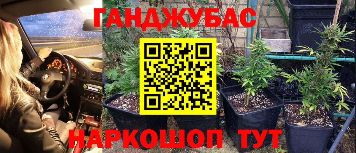 Конопля Ganja  МАРИХУАНА тримм  Кировск  Бошки Шишки сатива  Вход с VPN 